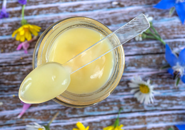 Glass jar of royal jelly