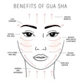 Gua Sha - Essentially Haitos